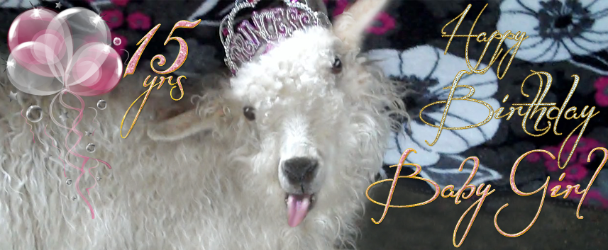 Goatlady's BabyGirl on her 15th Birthday